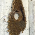 Verknuepftes 1